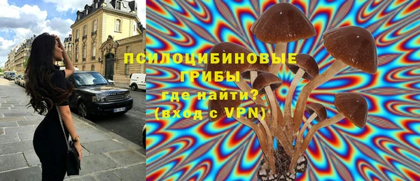 дживик Михайловка
