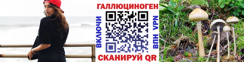 Галлюциногенные грибы Psilocybine cubensis  Купить  Урай 